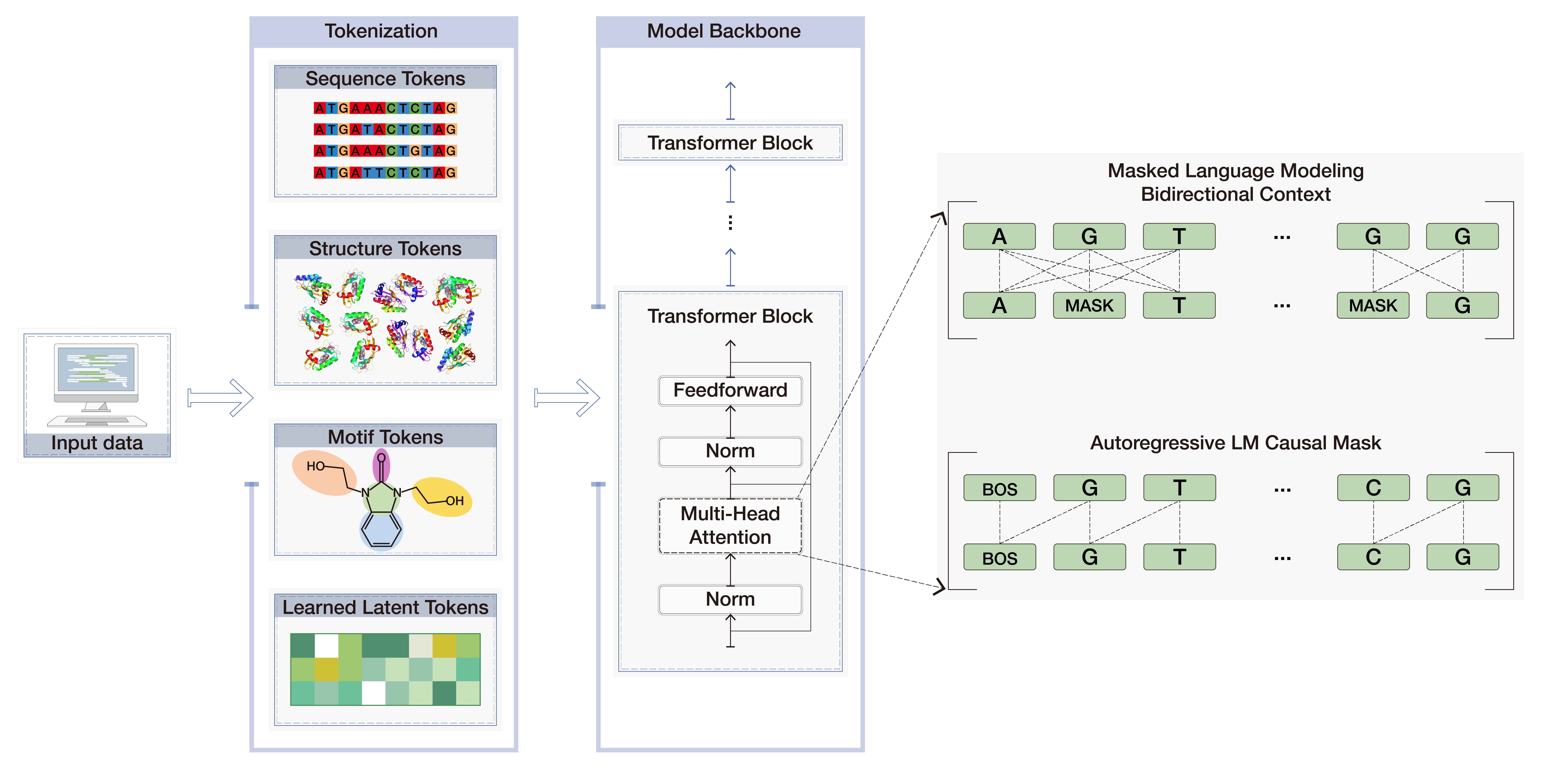 Language-modeling pipelines for biomolecular generation