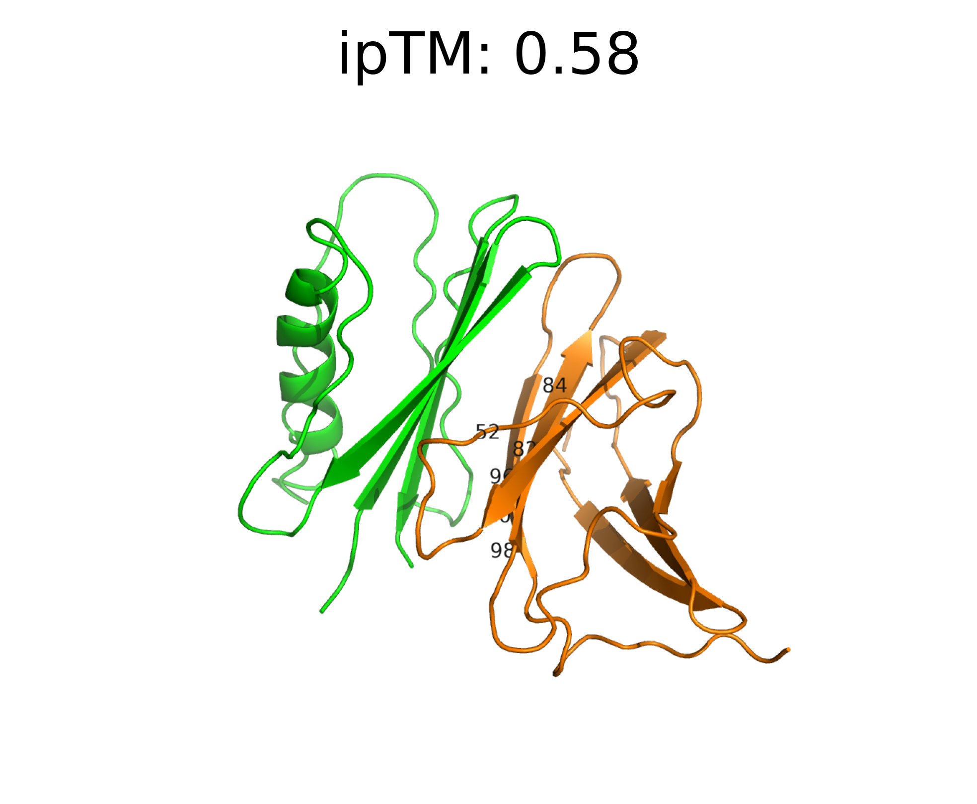 IFNAR2 binder visualization 1