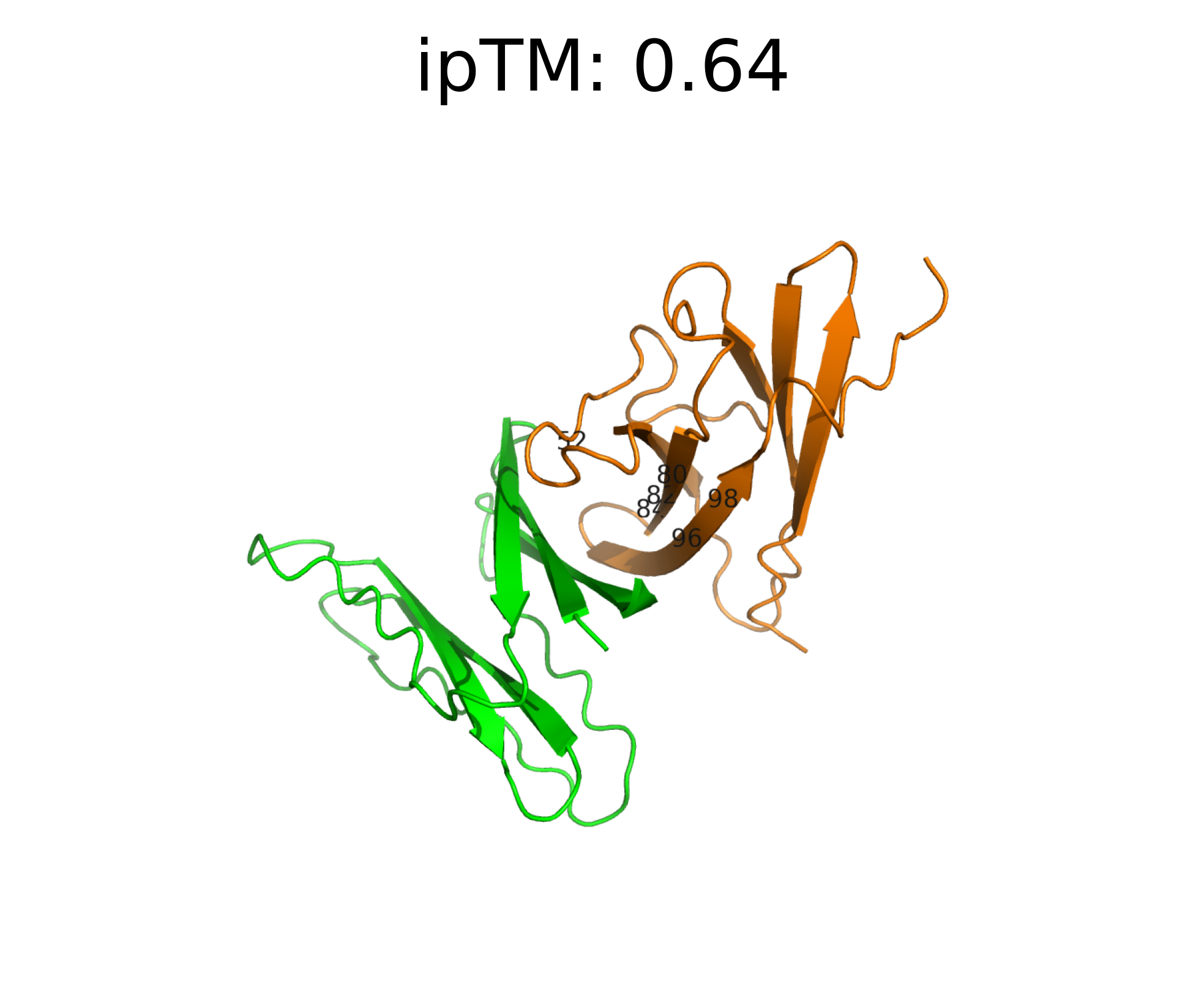IFNAR2 binder visualization 2